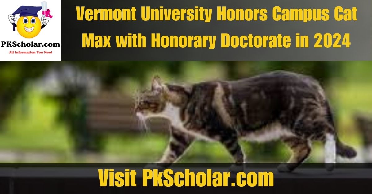 Vermont University Honors Campus Cat Max with Honorary Doctorate in 2024